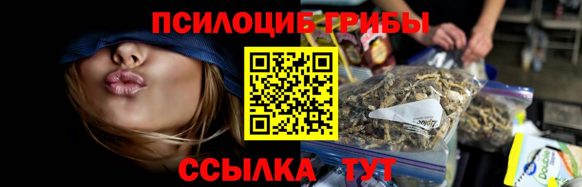 Галлюциногенные грибы MAGIC MUSHROOMS Сыктывкар
